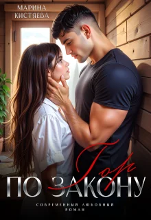 Обложка По закону гор