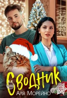 Обложка Сводник