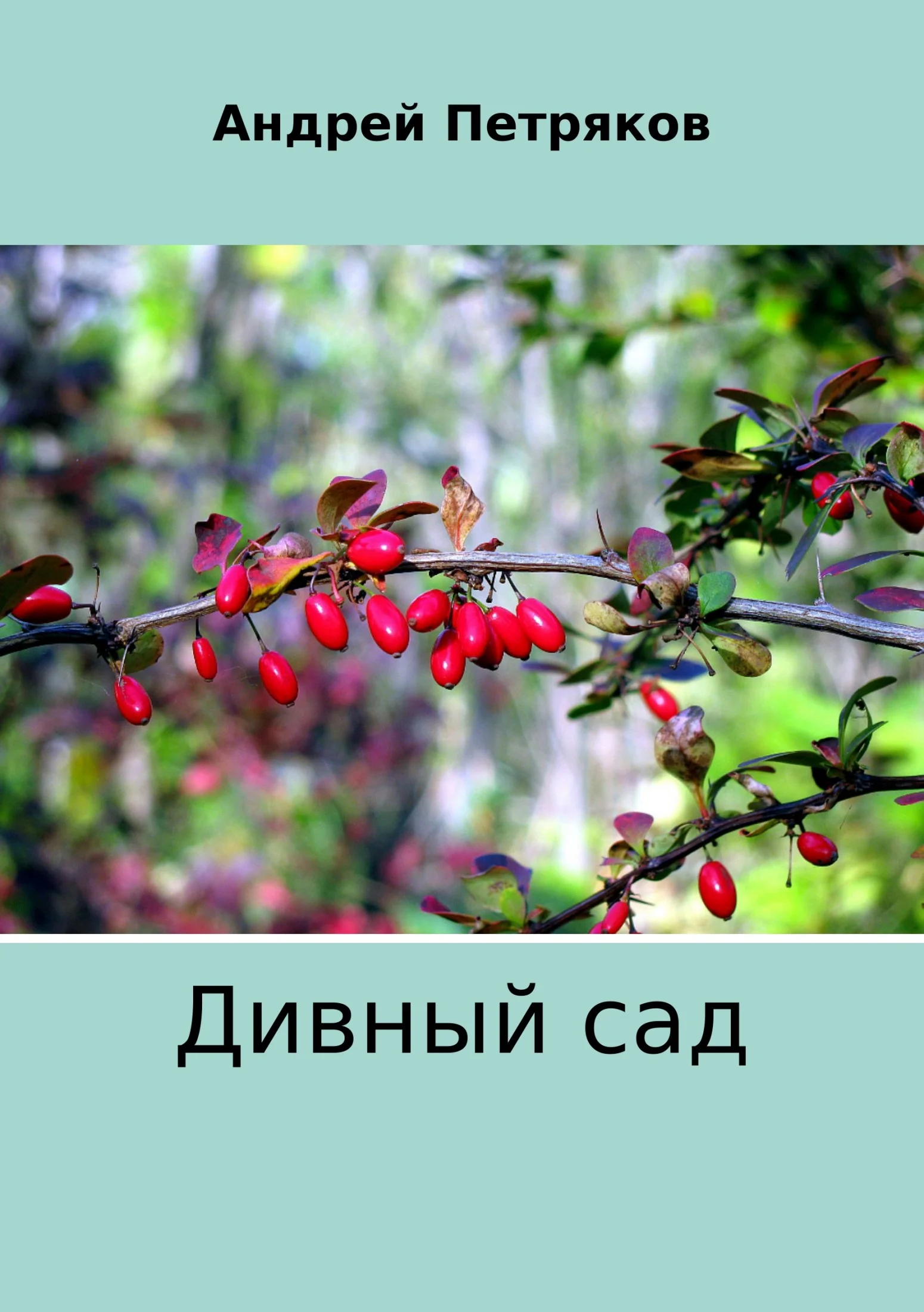 Обложка Дивный сад