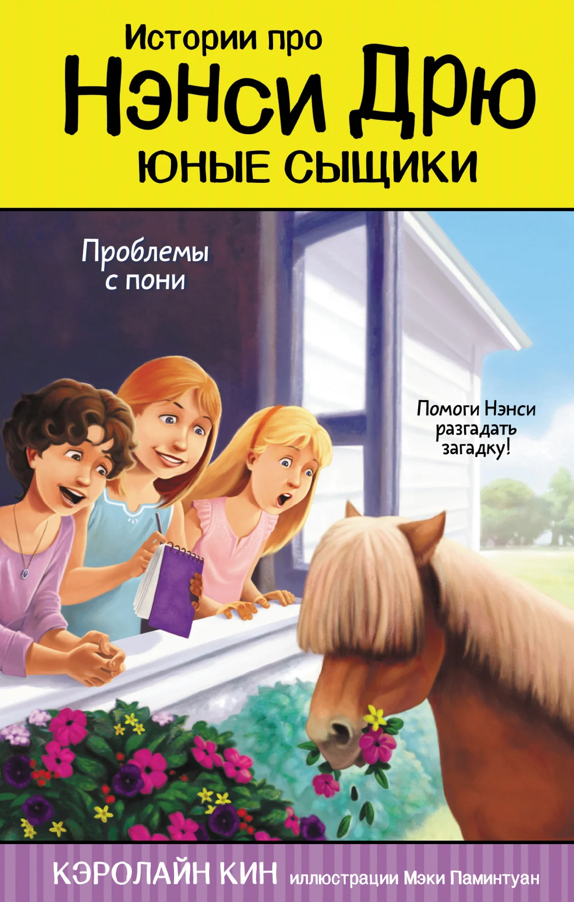 Обложка Проблемы с пони