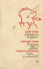 Обложка Чудак из шестого «Б»