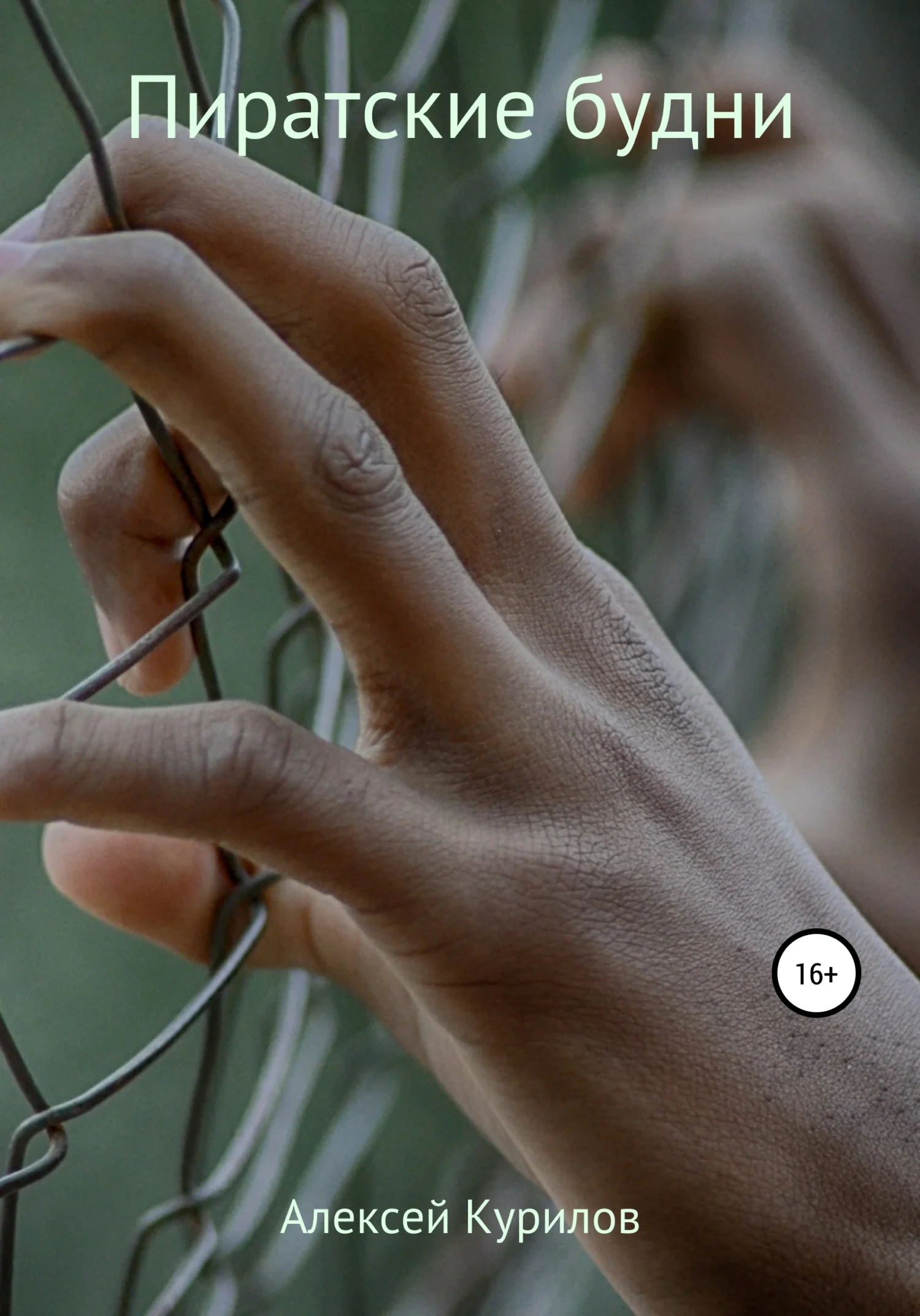 Обложка Пиратские будни