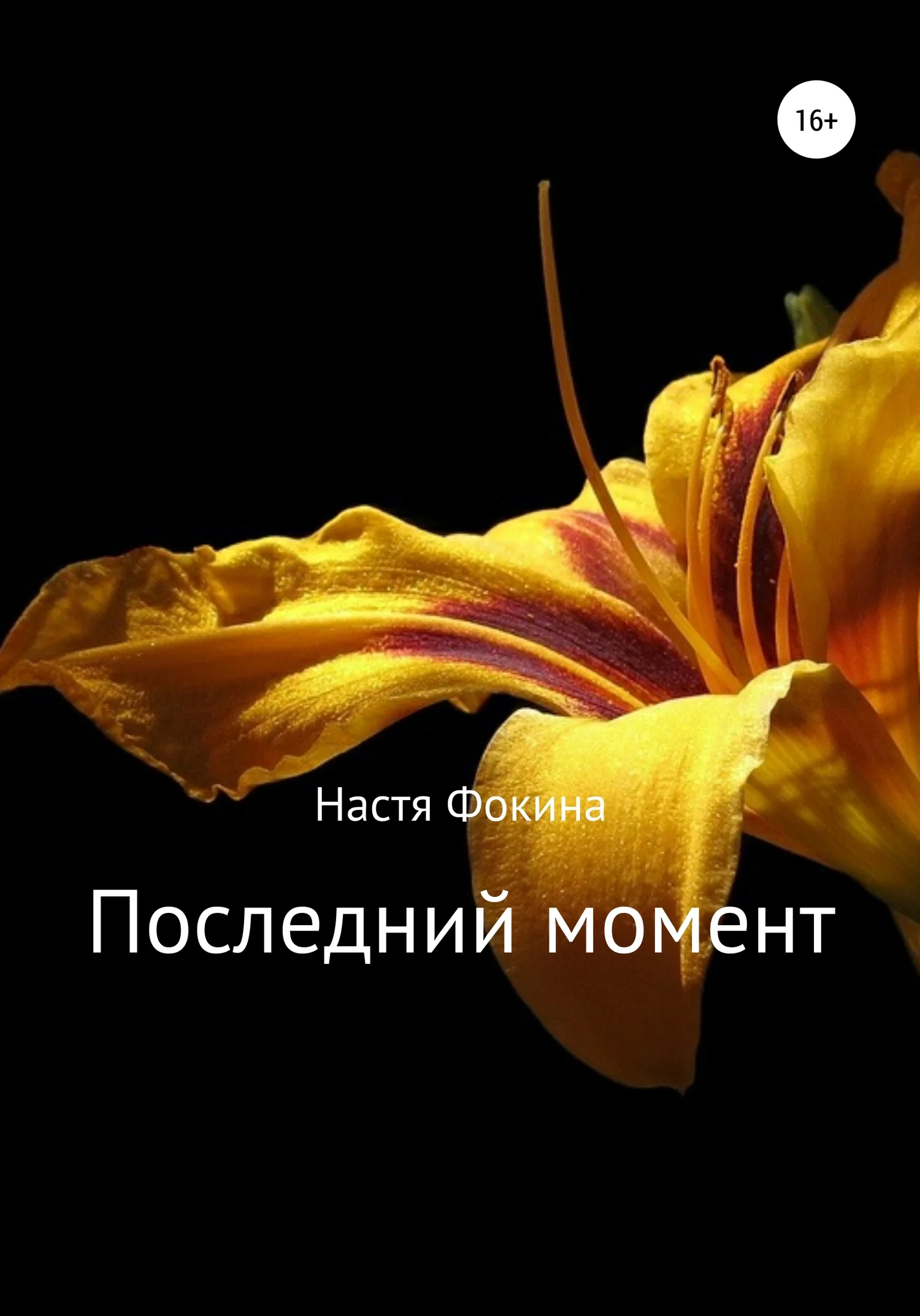 Обложка Последний момент