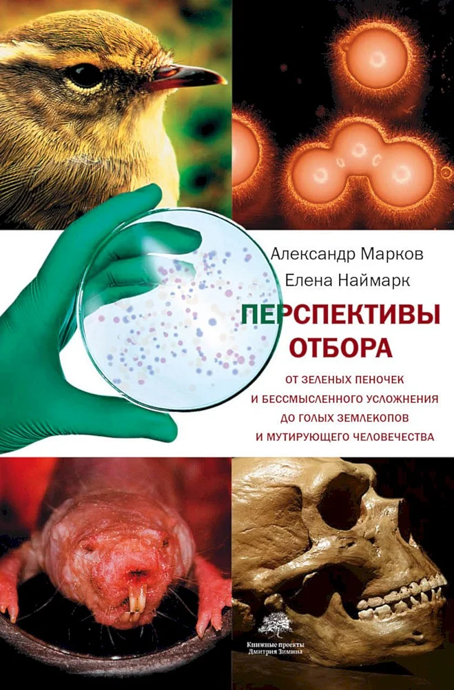 Обложка Перспективы отбора. От зелёных пеночек и бессмысленного усложнения до голых землекопов и мутирующего человечества