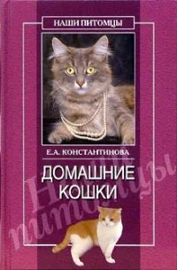 Обложка Домашние кошки