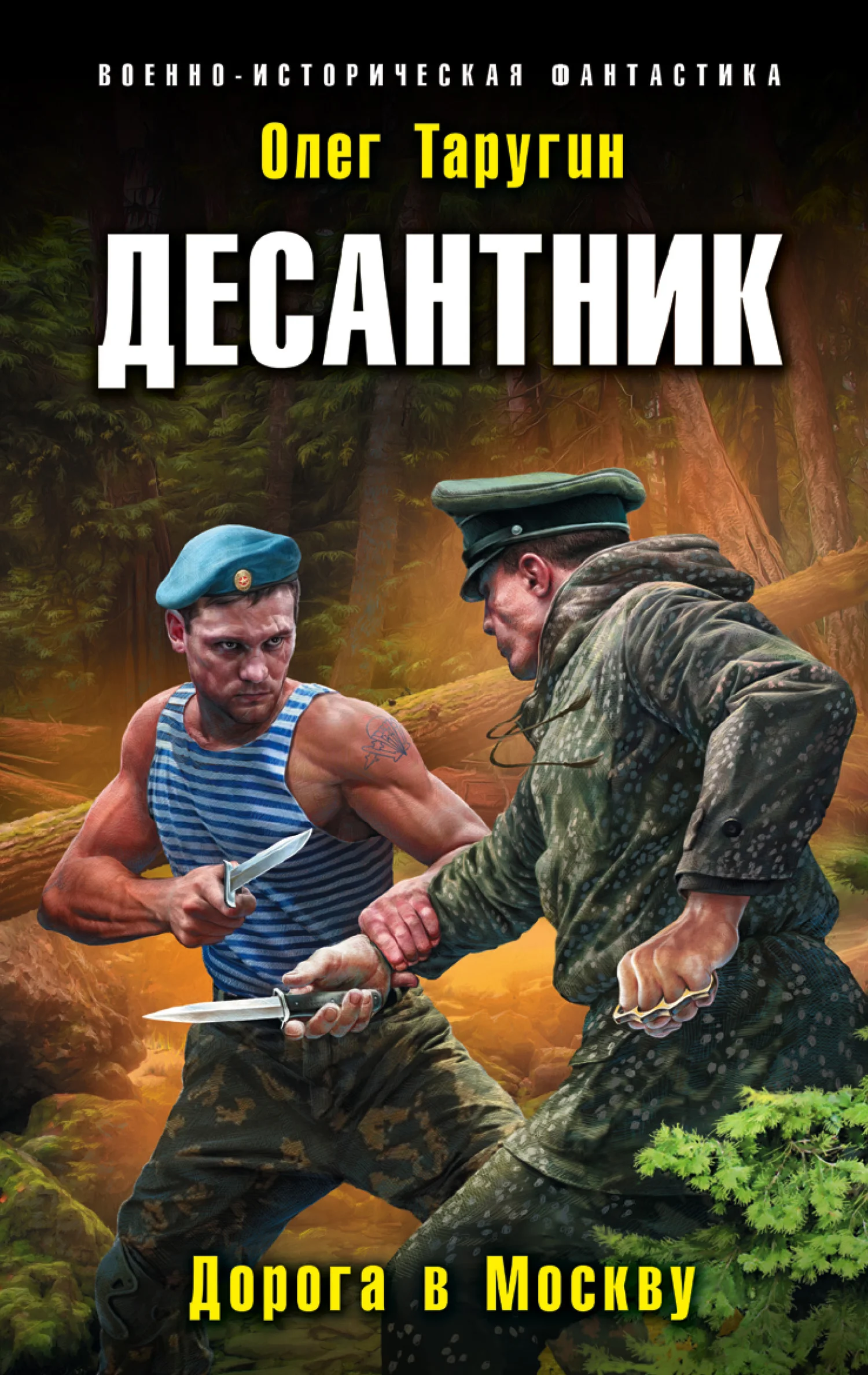 Обложка Десантник. Дорога в Москву