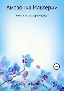 Обложка По ту сторону дождя