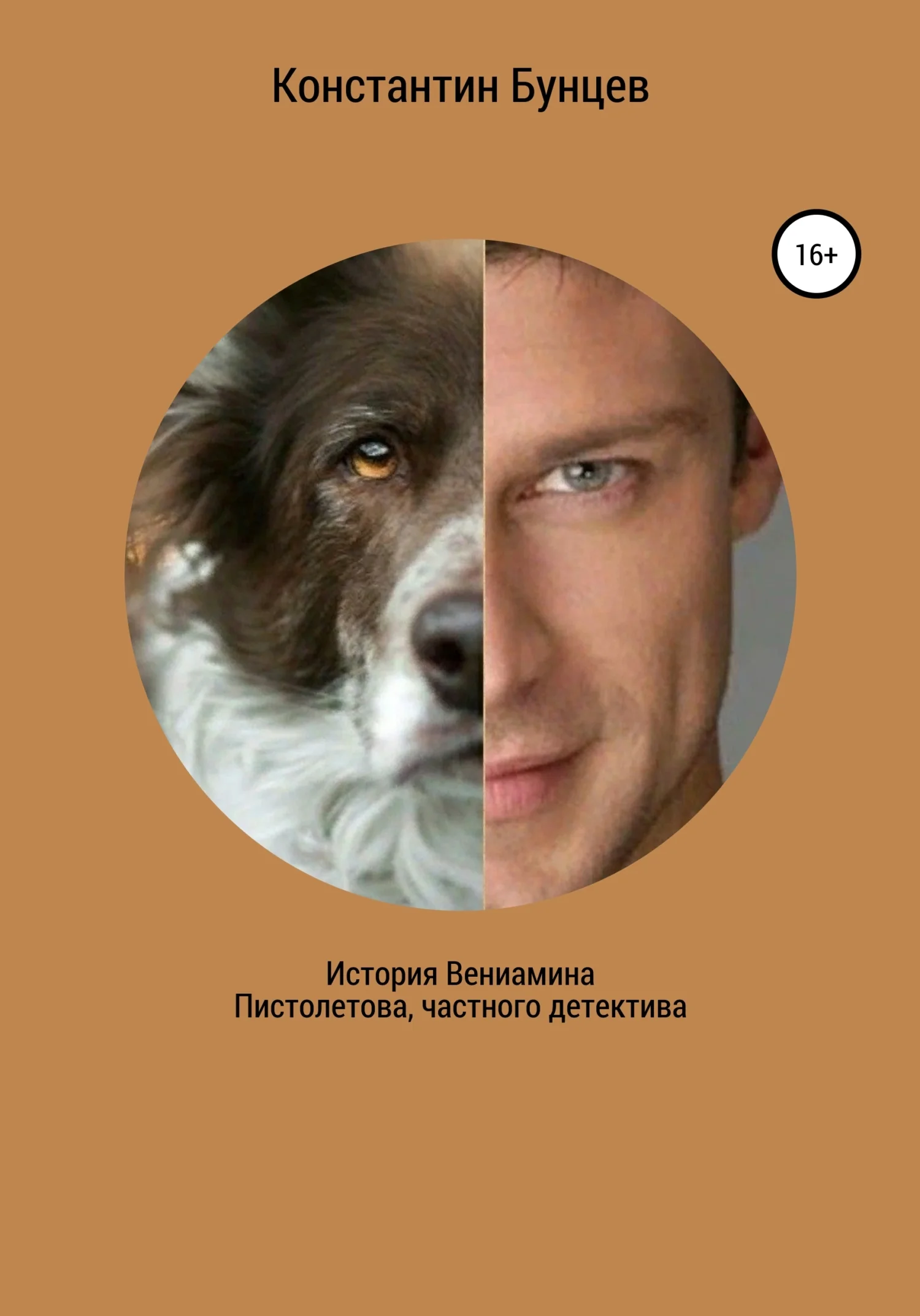 Обложка История Вениамина Пистолетова, частного детектива