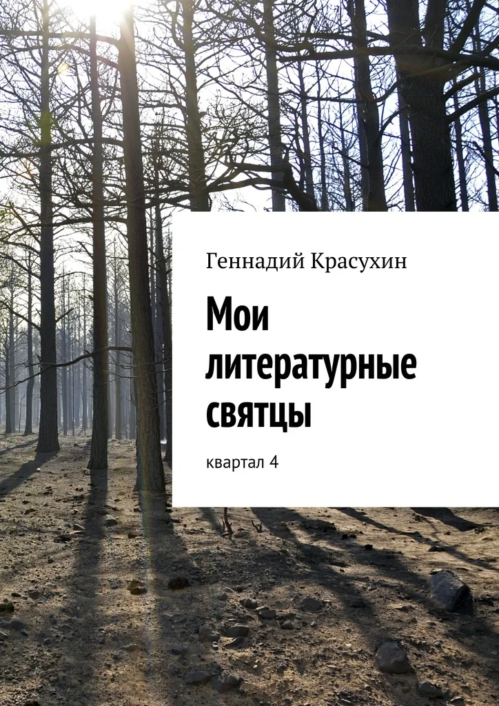 Обложка Мои литературные святцы