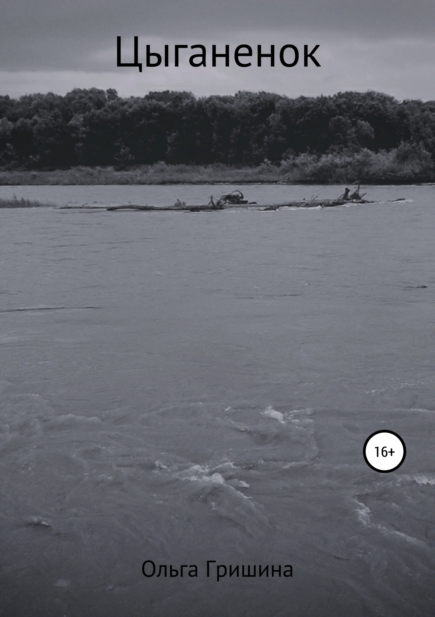 Обложка Цыганенок