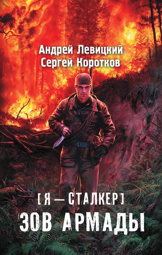 Обложка Зов Армады