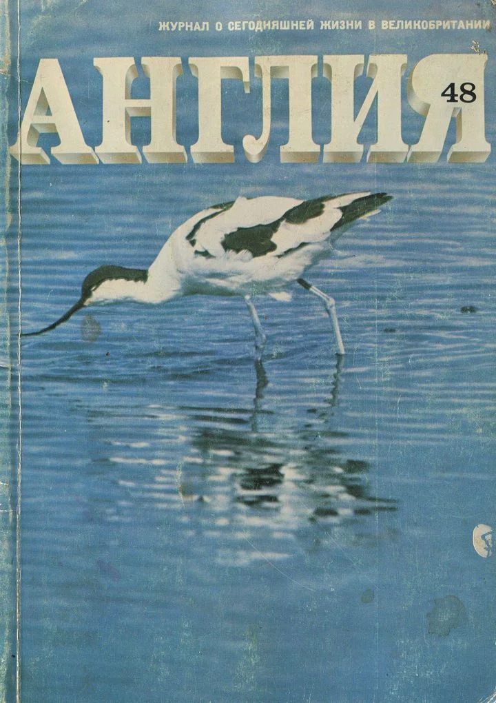 Обложка Девушка с зелеными глазами (отрывок)