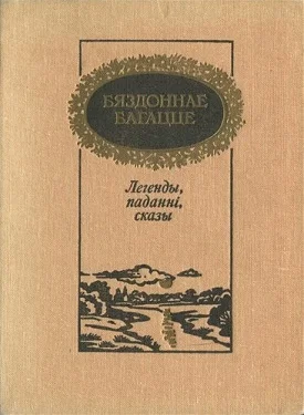 Обложка Бяздоннае багацце: легенды, паданні, сказы