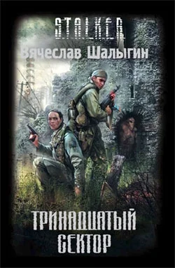 Обложка Тринадцатый сектор
