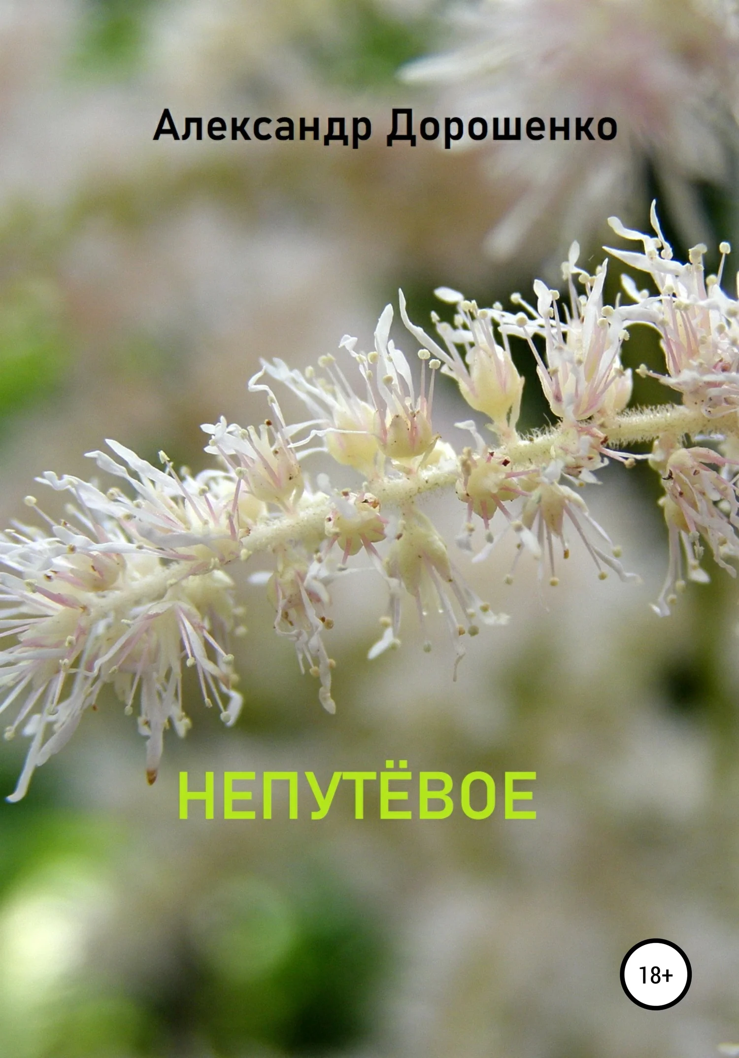 Обложка Непутёвое