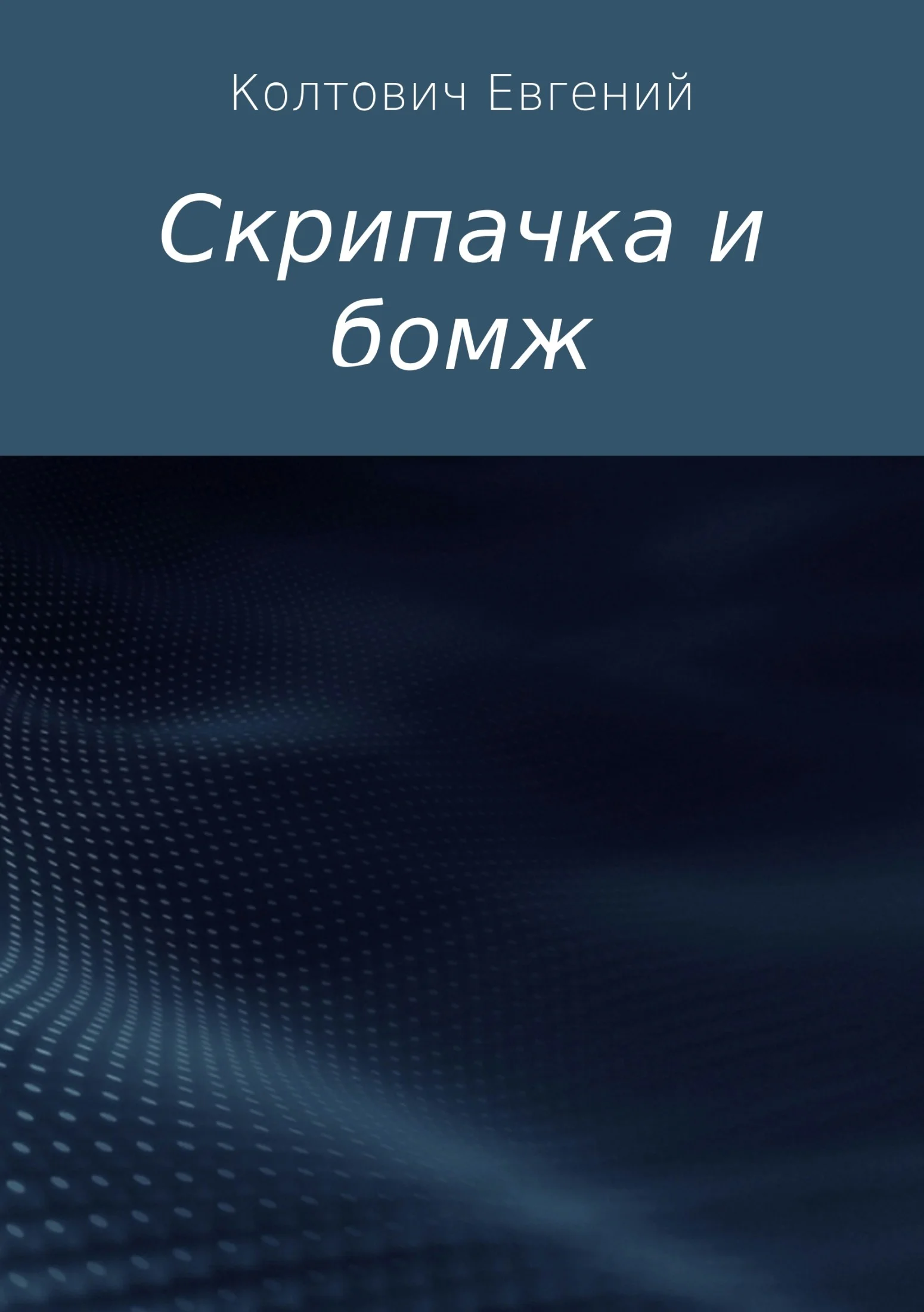 Обложка Скрипачка и бомж