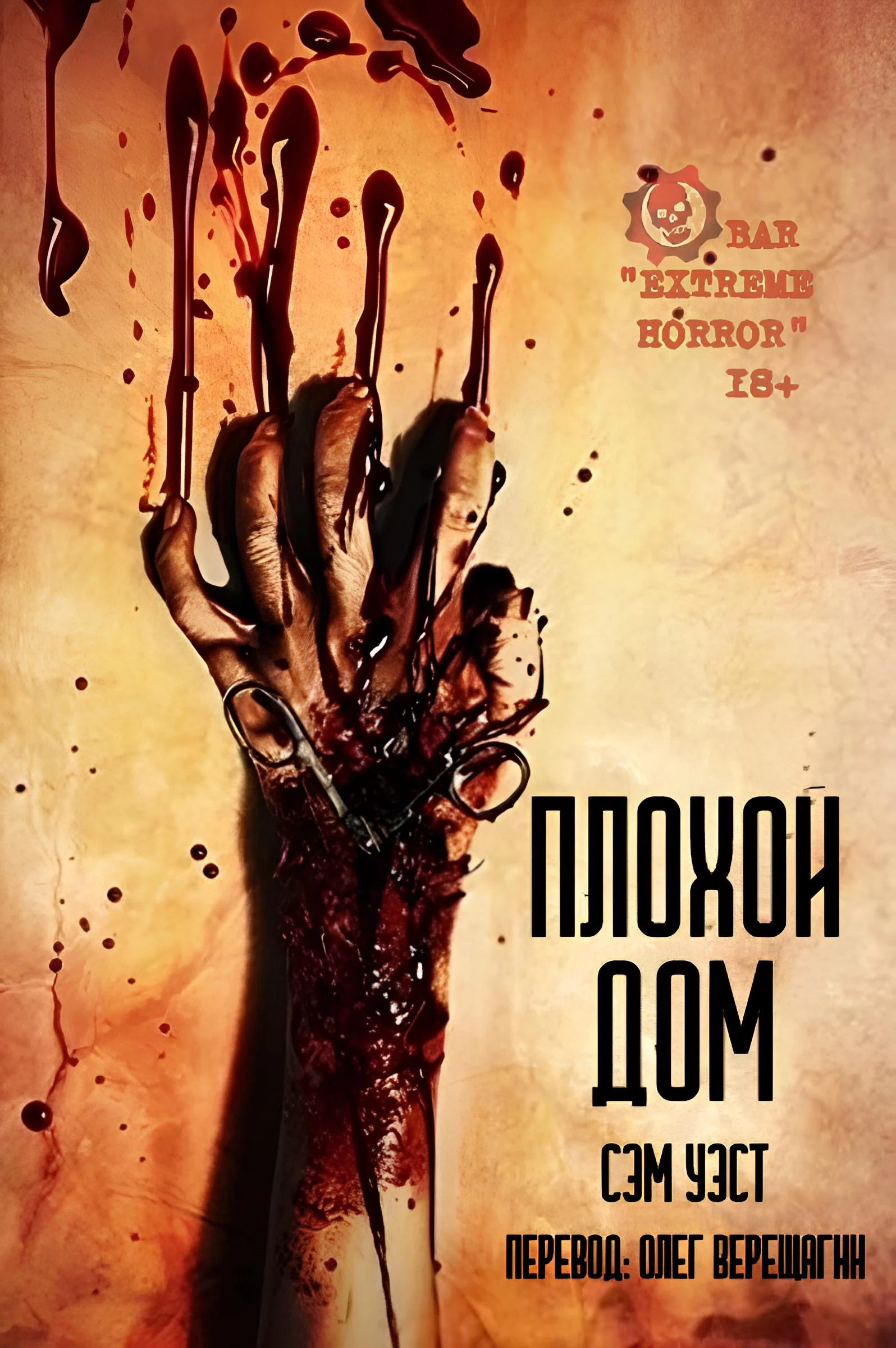 Обложка Плохой дом