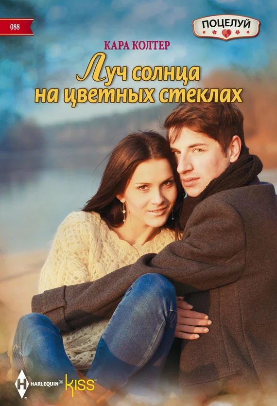 Обложка Луч солнца на цветных стеклах