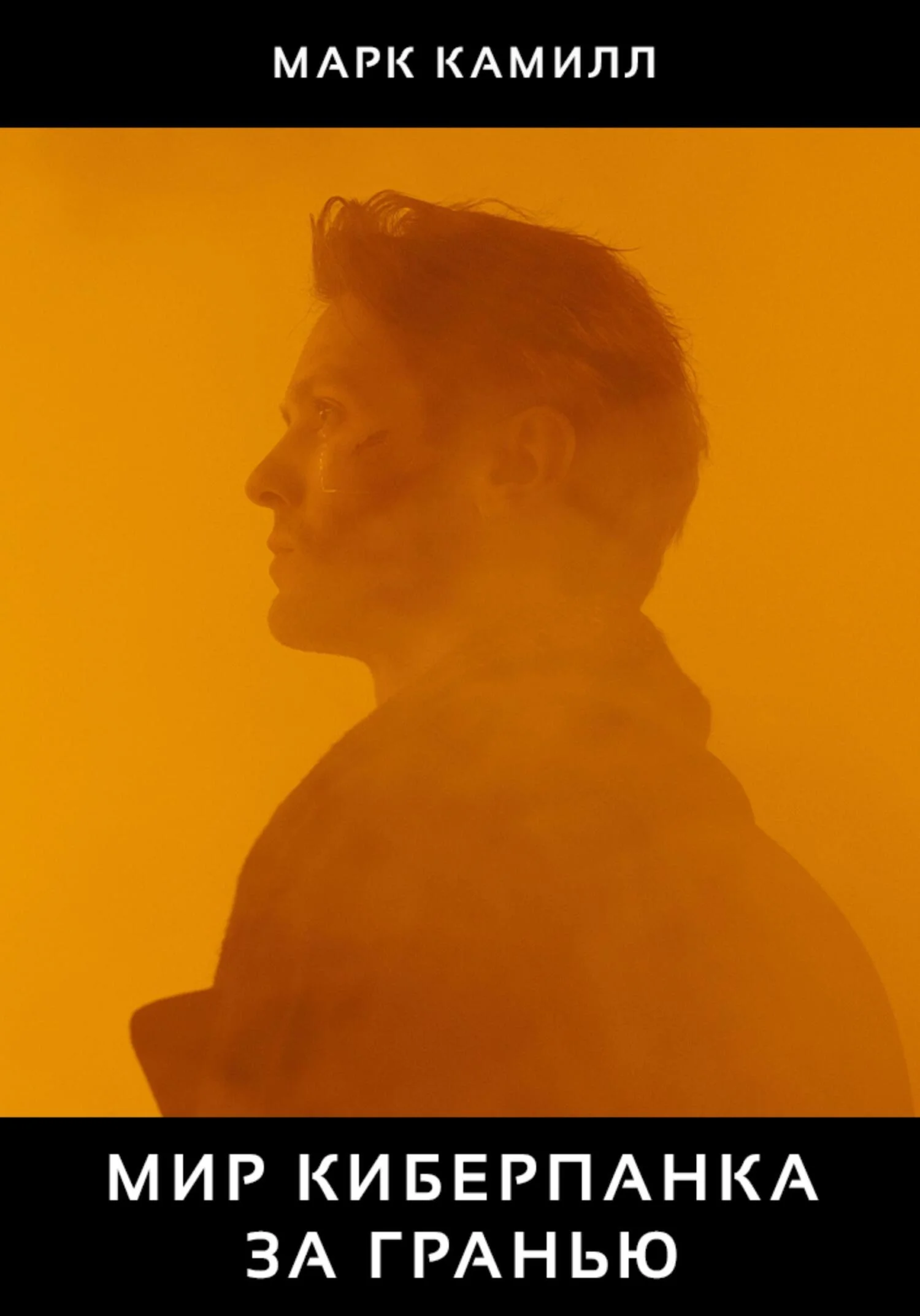 Обложка Мир Киберпанка. За гранью