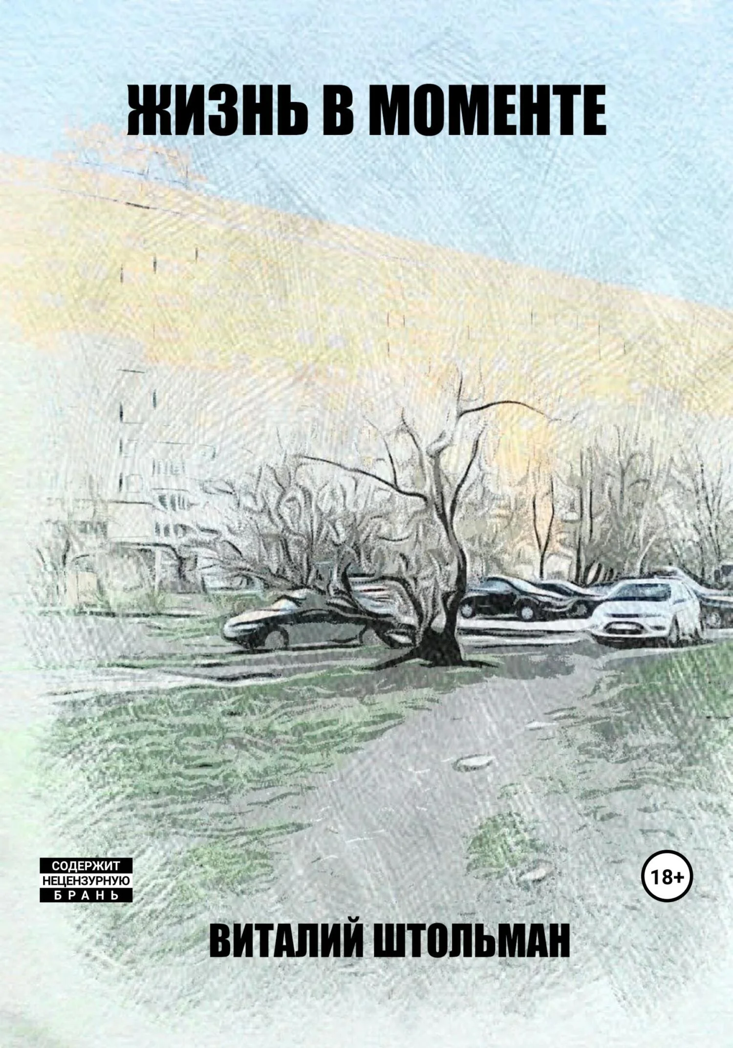 Обложка Жизнь в моменте