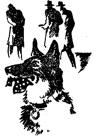 Обложка Кінець Франека Грохалі