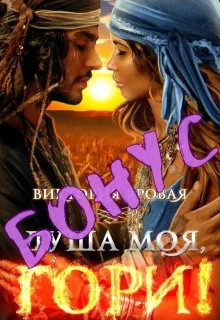 Обложка Бонус. Душа моя, гори!