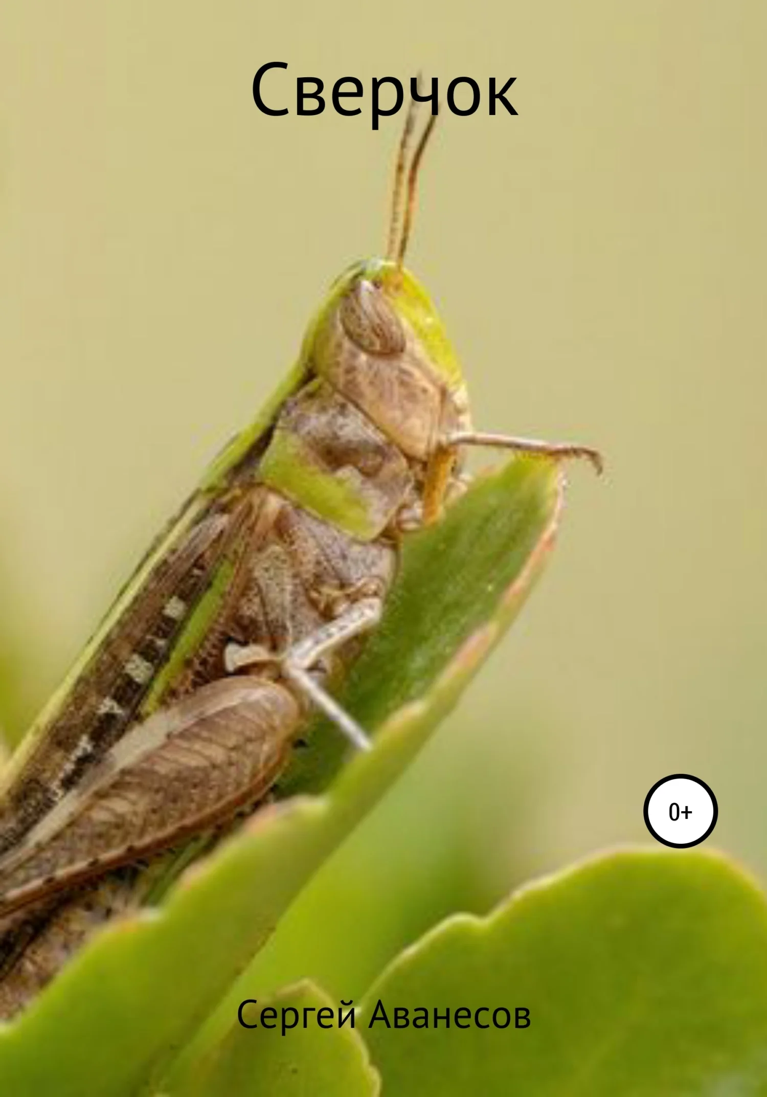 Обложка Сверчок