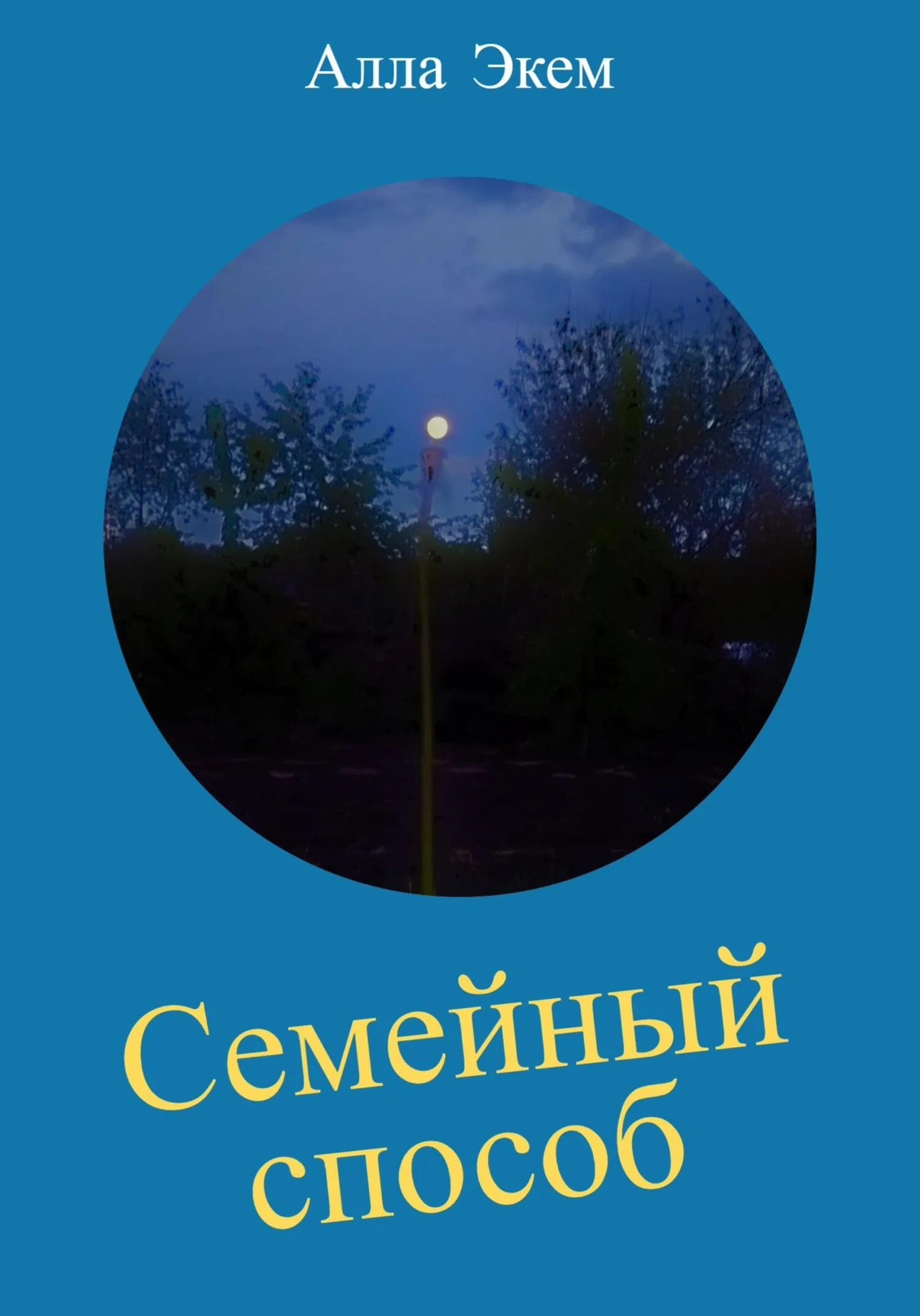 Обложка Семейный способ