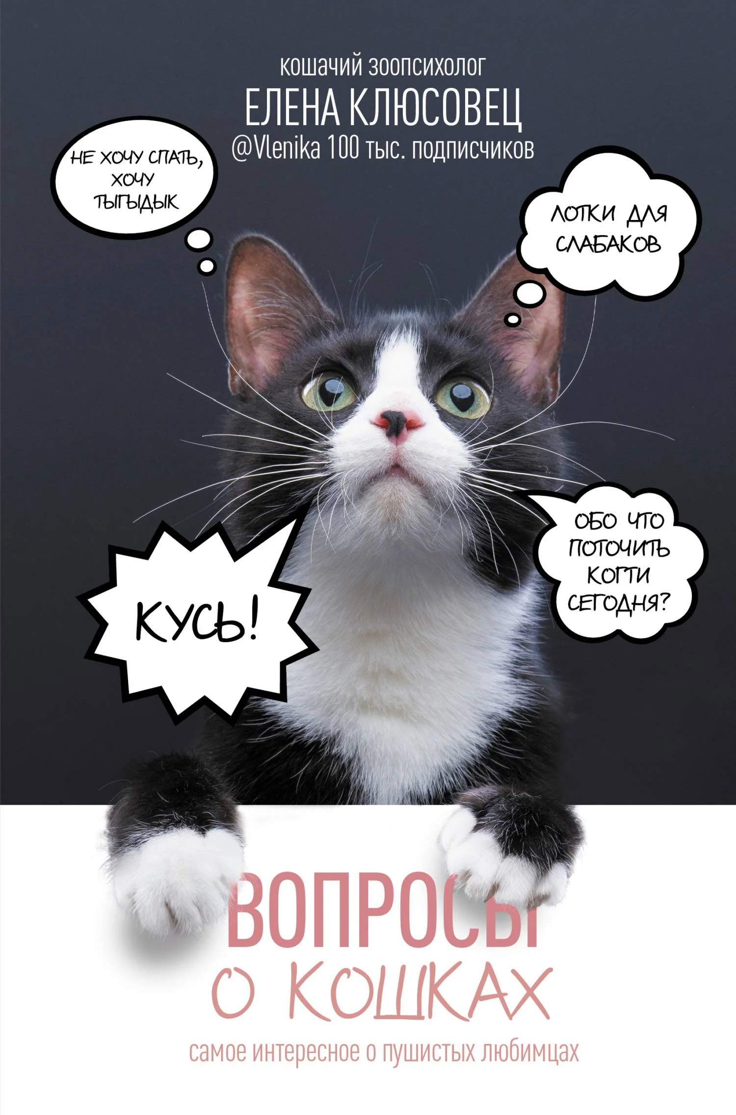 Обложка Вопросы о кошках. Самое интересное о пушистых любимцах