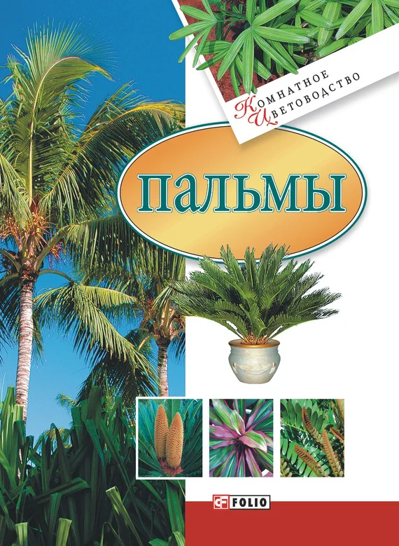 Обложка Пальмы