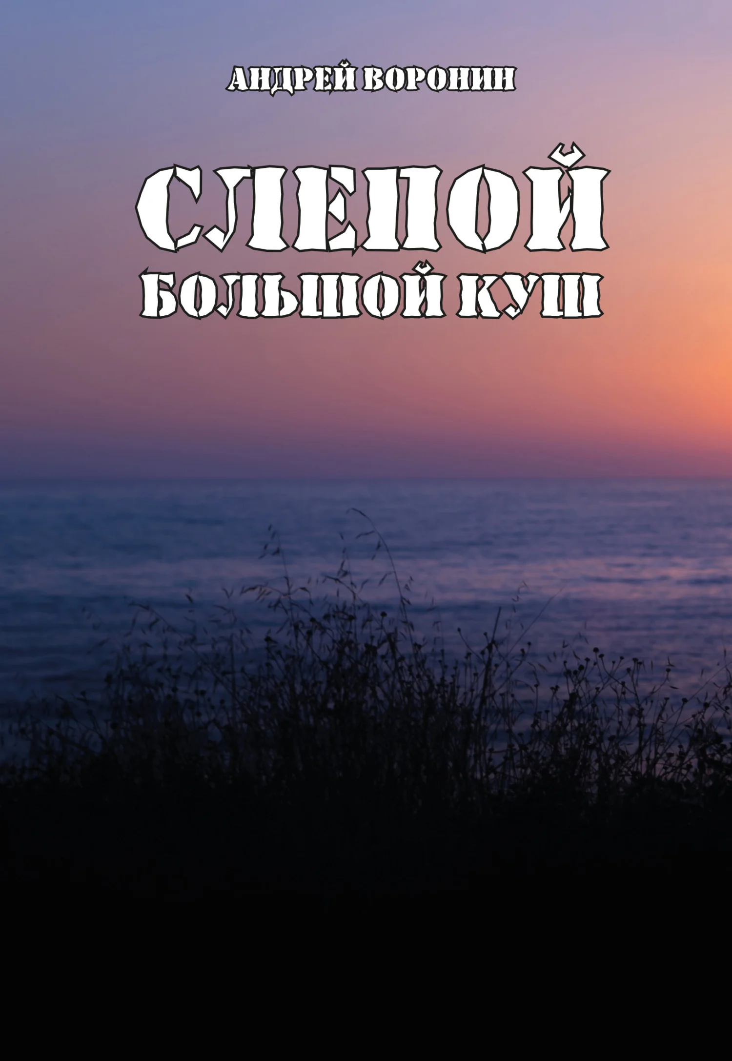 Обложка Слепой. Большой куш