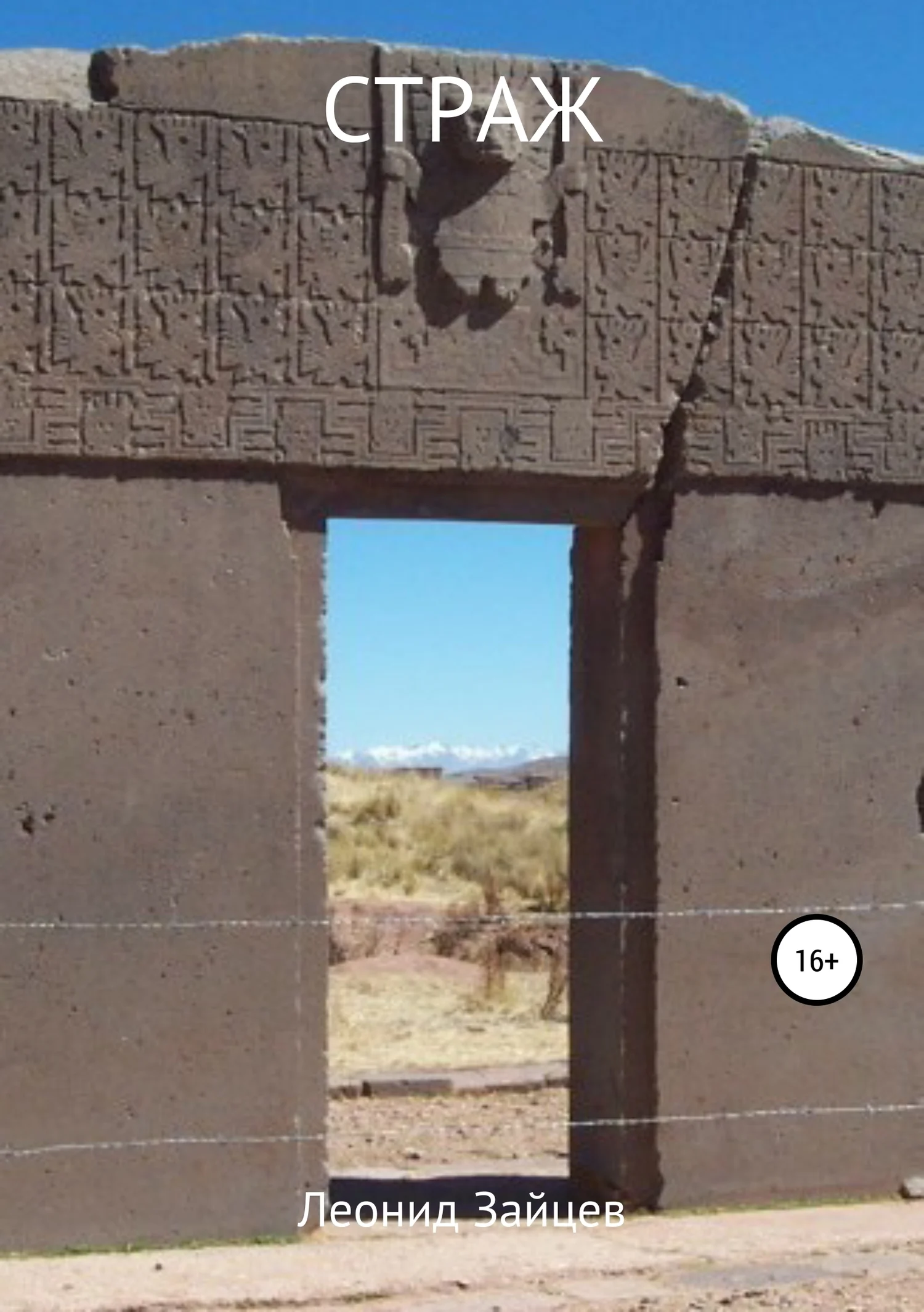 Обложка Страж