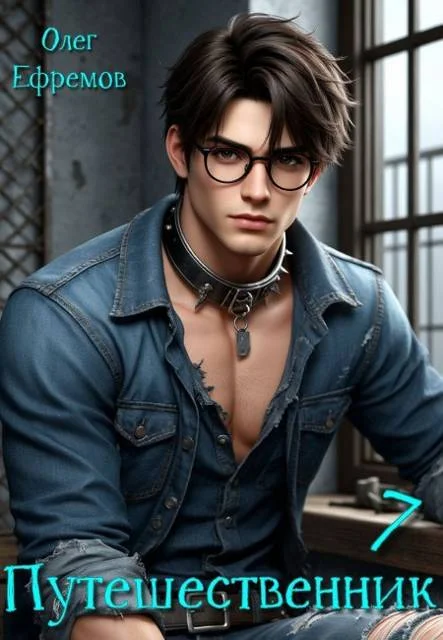 Обложка Путешественник Книга 7