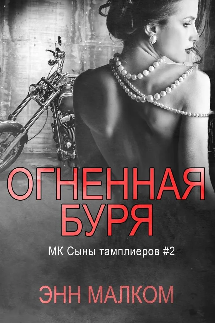 Обложка Огненная буря