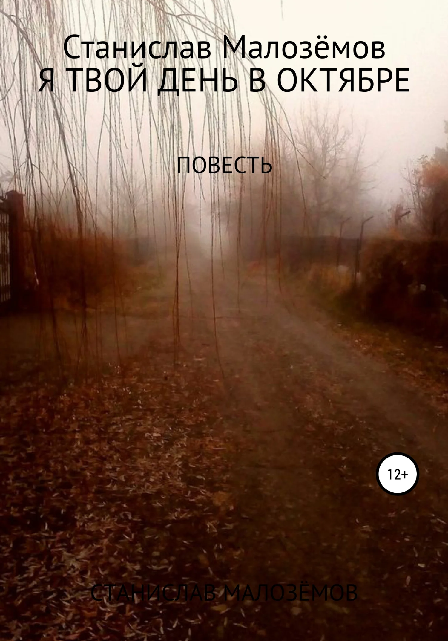 Обложка Я твой день в октябре