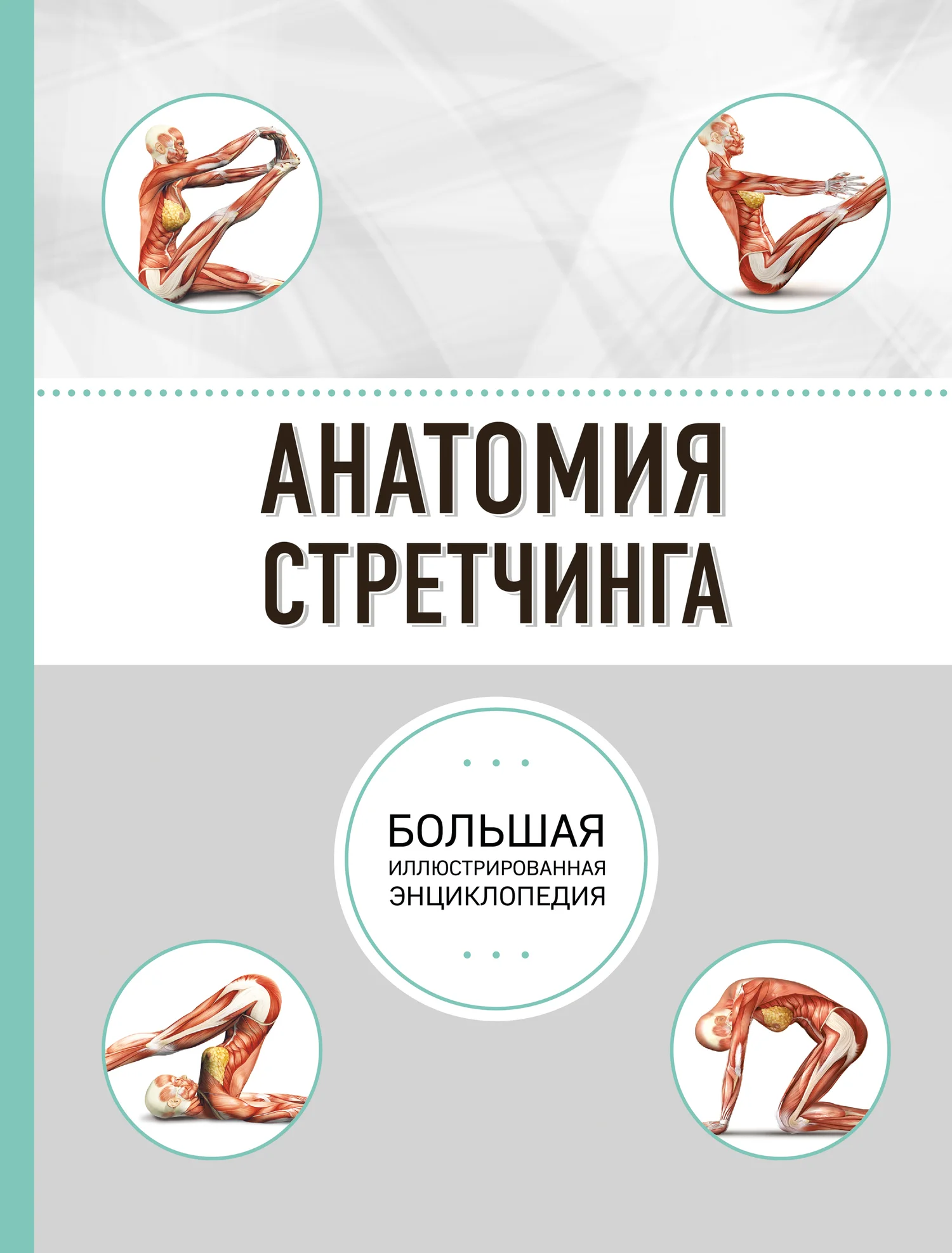 Обложка Анатомия стретчинга. Большая иллюстрированная энциклопедия