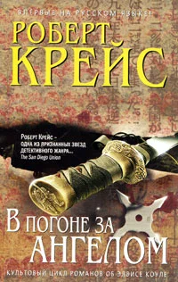 Обложка В погоне за ангелом