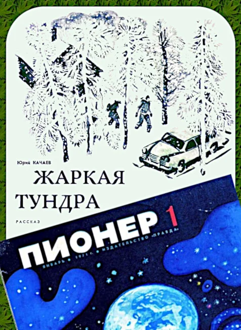 Обложка Жаркая тундра