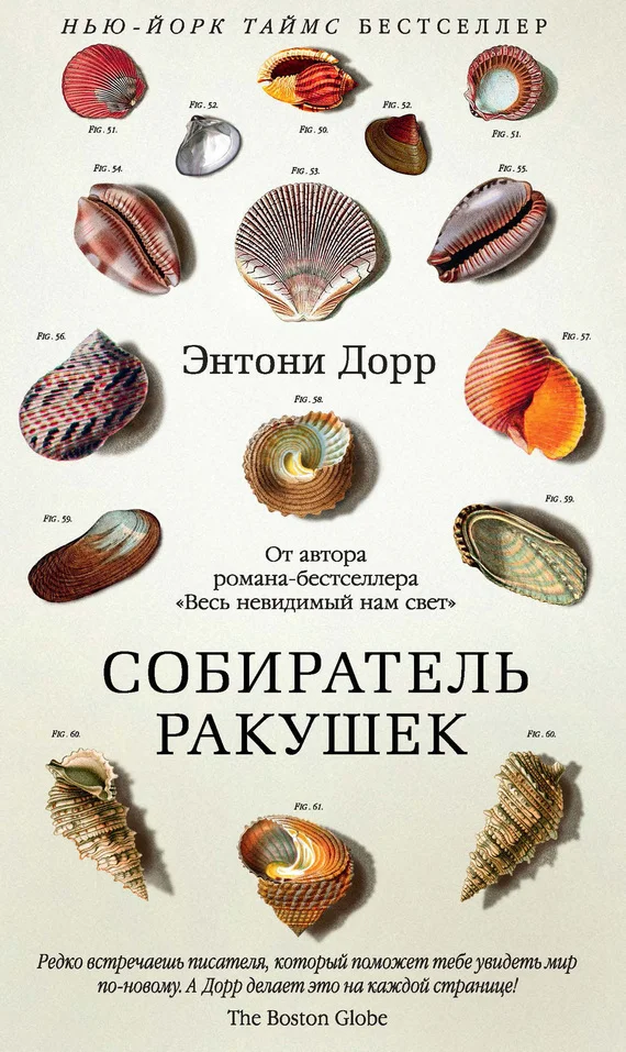 Обложка Собиратель ракушек