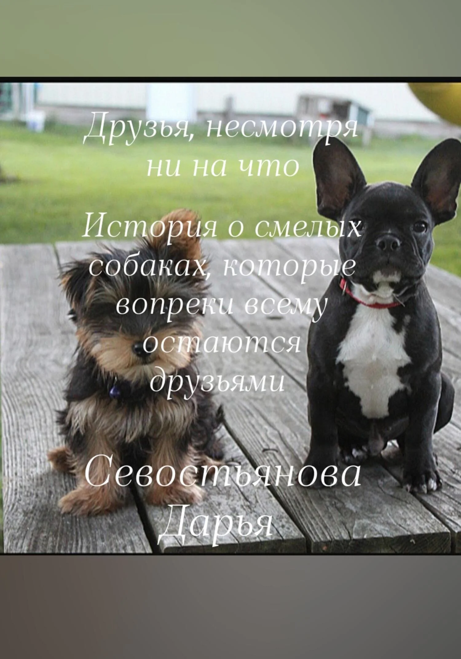 Обложка Друзья, несмотря ни на что