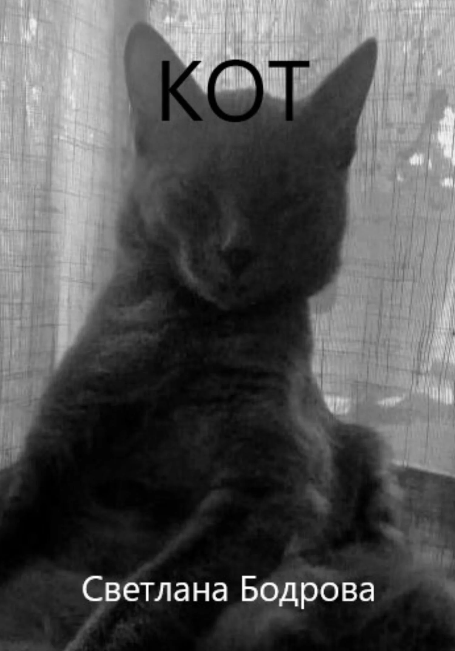 Обложка Кот