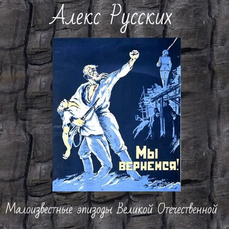 Обложка Малоизвестные эпизоды Великой Отечественной и Второй Мировой