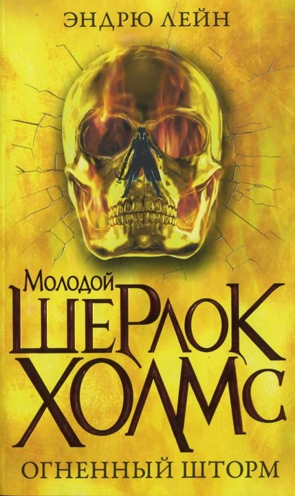 Обложка Огненный шторм