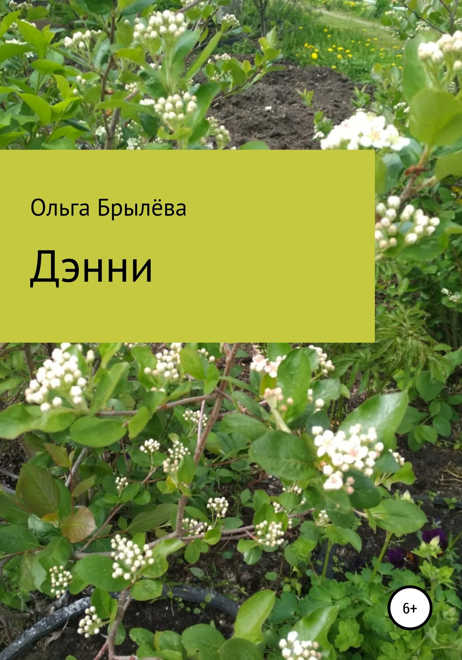 Обложка Дэнни