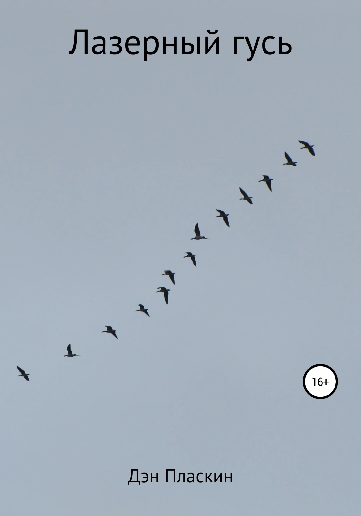 Обложка Лазерный гусь