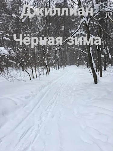 Обложка Чёрная зима