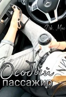 Обложка Особый пассажир