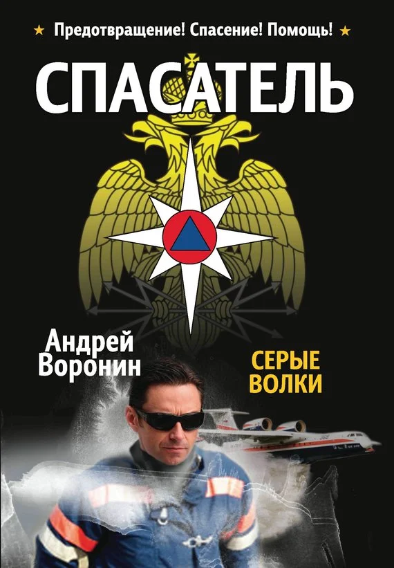 Обложка Серые волки