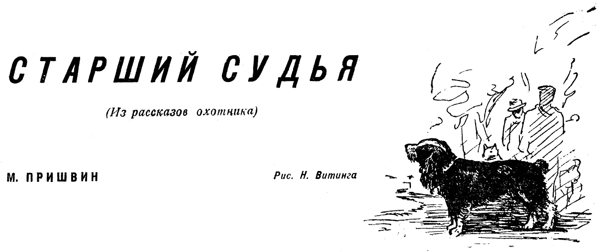 Обложка Старший судья