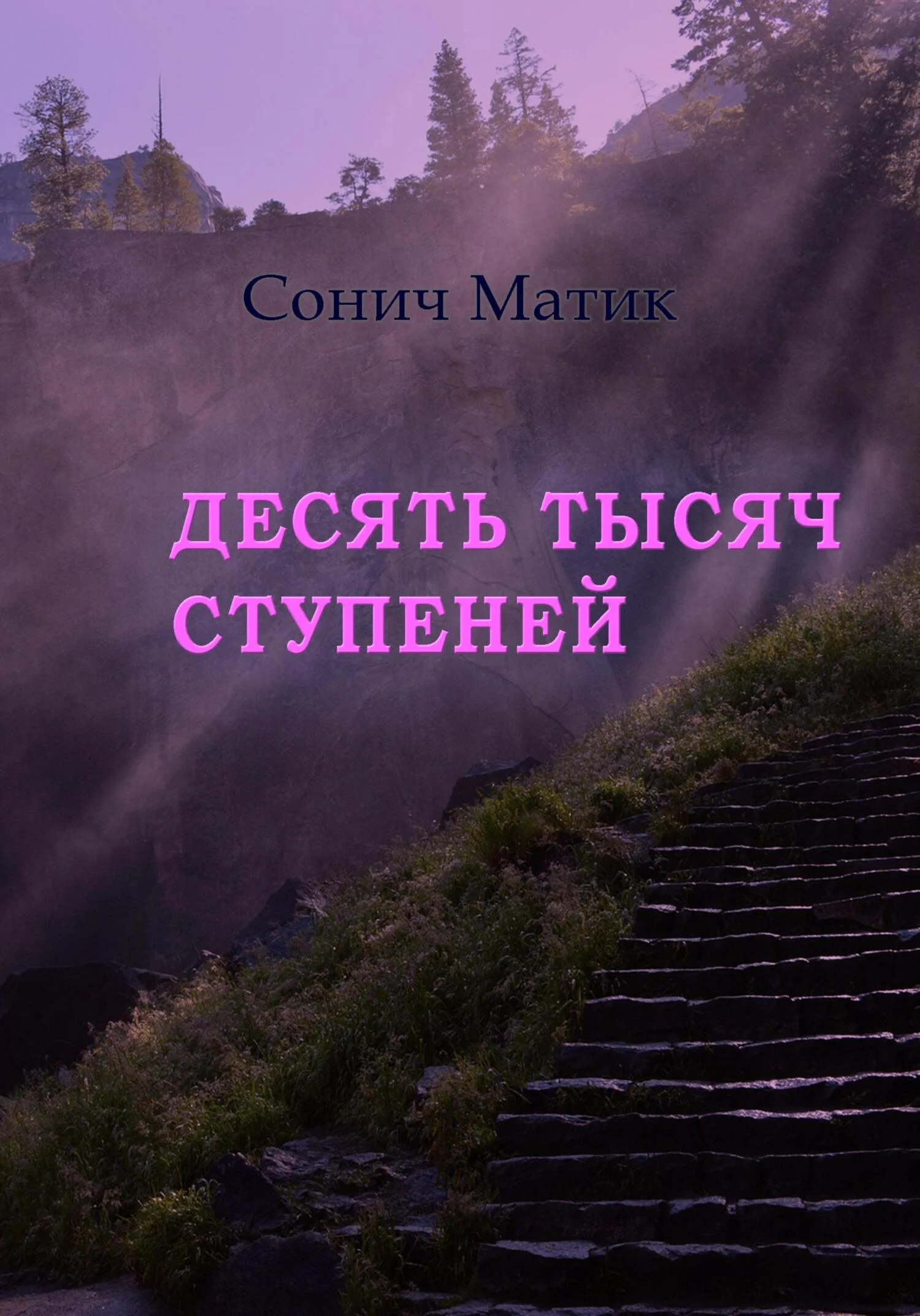 Обложка Десять тысяч ступеней